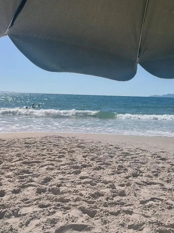 2 Apto Na Principal De Canasvieiras Florianópolis Apartamento